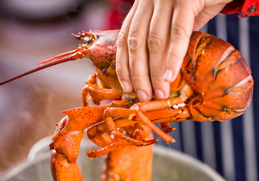 Summer Season Means Lobster Season